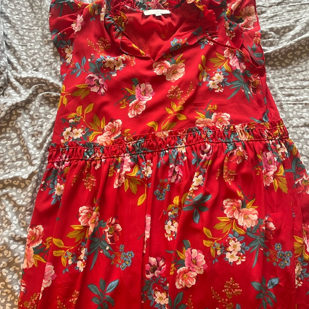 LOFT Red and Multicolor Floral Dress